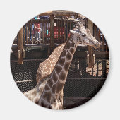 Grandma Magnet #1 (Voorkant)