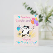 Grandma Moederdag Cute Kat Colorful Balloons Briefkaart (Staand voorkant)
