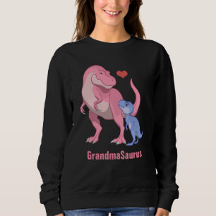 GrandmaSaurus Pink T-Rex & Blue Baby Boy Dinosaur Trui