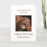 Grandson Birthday, Orang Utan Kaart<br><div class="desc">Give your grandson a cheeky monkey of a birthday card. A birthday card for your very own top banana! A baby orangutan looking cute.</div>