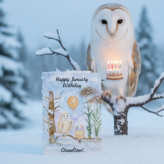 Grandson Happy January Birthday Owl Cake Kaart