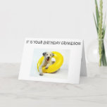 GRANDSON-IT IS YOUR BIRTHDAY KAART<br><div class="desc">As part of a line of this card-this one to me is going to be such FUN to send to YOUR GRANDSON and FUN for Him to Receive :)</div>
