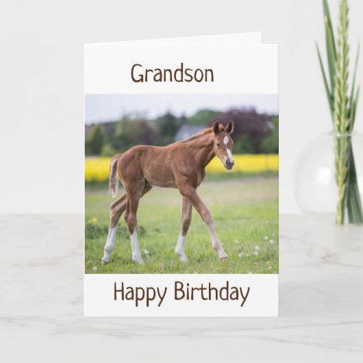 *GRANDSON* UW BIRTHDAY IS EEN SPECIALE DAG KAART (Voorkant)