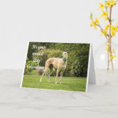 *GRANDSON'S BIRTHDAY* HOPE U BENT "HAPPY" KAART (Gele Bloem)