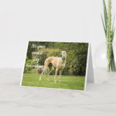 *GRANDSON'S BIRTHDAY* HOPE U BENT "HAPPY" KAART (Voorkant)