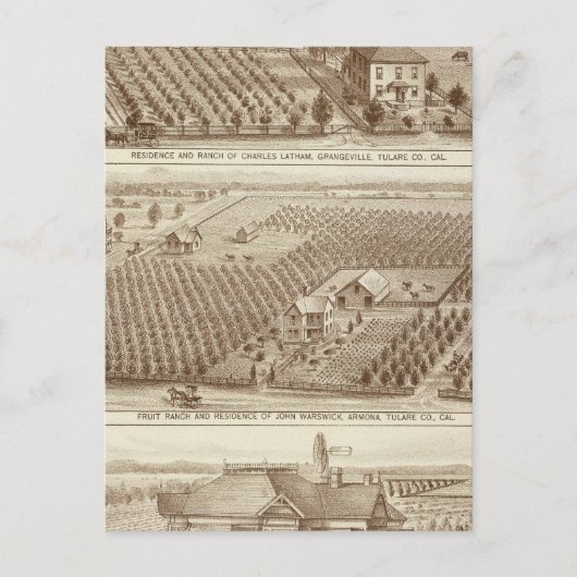 Grangeville, Armona ranches Briefkaart (Voorkant)