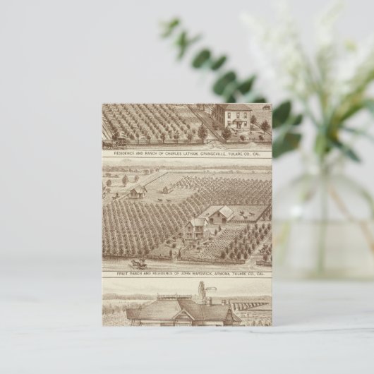 Grangeville, Armona ranches Briefkaart (Staand voorkant)