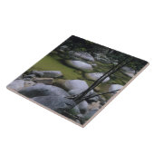 Graniet Boulders in de rivier Tegeltje (Zijkant)