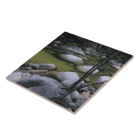 Graniet Boulders in de rivier Tegeltje (Zijkant)