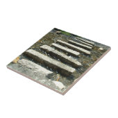 Graniet Stortstenen over een rivier Tegeltje (Zijkant)