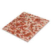 Granietpatroon rode ochre en beige met grijs blauw tegeltje (Zijkant)