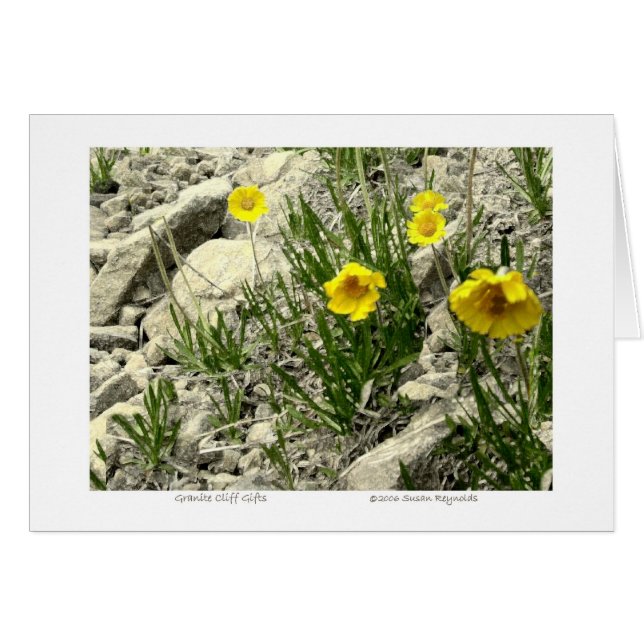 Granite Cliff Gifts (Voorkant Horizontaal)