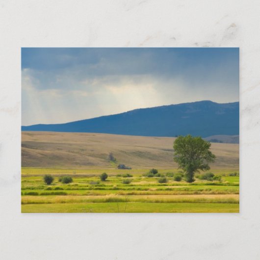 Granite County Montana Briefkaart (Voorkant)
