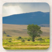 Granite County Montana Drankjes Onderzetter (Voorkant)