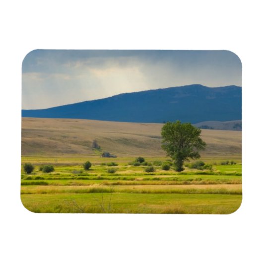 Granite County Montana Magneet (Horizontaal)