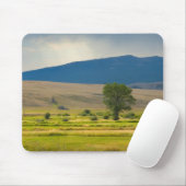 Granite County Montana Muismat (Met muis)