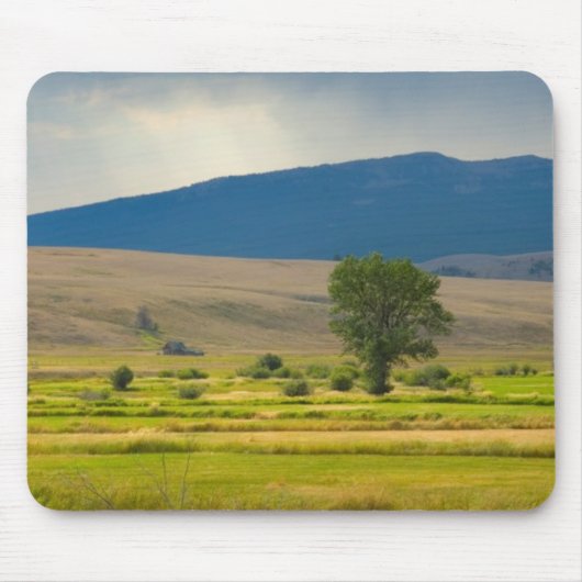 Granite County Montana Muismat (Voorkant)