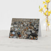 Granite Pebbles in het meer Tenaya bij Yosemite Kaart (Gele Bloem)