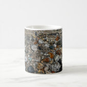 Granite Pebbles in het meer Tenaya bij Yosemite Koffiemok (Center)