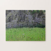 Granite Quarry Rock Cliff Wall Cattails Natuur Legpuzzel (Horizontaal)