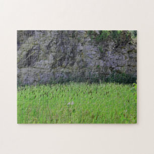 Granite Quarry Rock Cliff Wall Cattails Natuur Legpuzzel