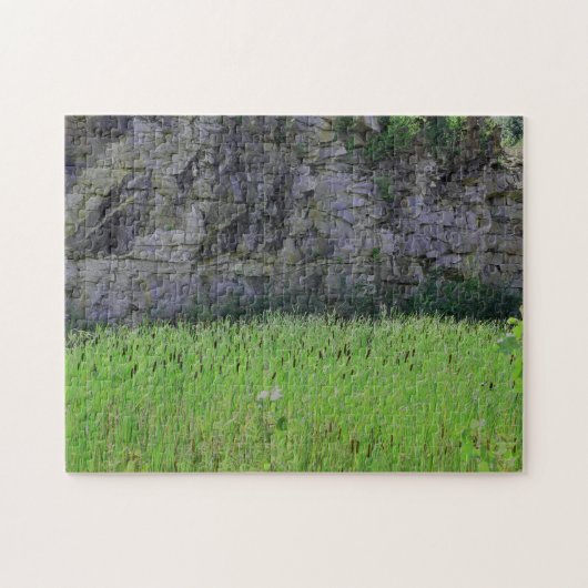 Granite Quarry Rock Cliff Wall Cattails Natuur Legpuzzel (Horizontaal)