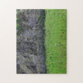 Granite Quarry Rock Cliff Wall Cattails Natuur Legpuzzel (Verticaal)