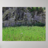 Granite Quarry Rock Cliff Wall Cattails Natuur Poster (Voorkant)