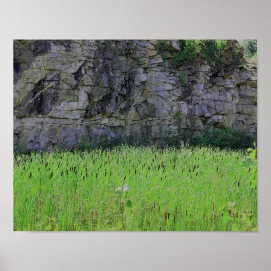Granite Quarry Rock Cliff Wall Cattails Natuur Poster (Voorkant)