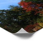Granite Rock Cliff Herfst Foliage Natuur Poster (Hoek)