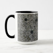 Granite Rock Grey met green Moss Mok (Links)