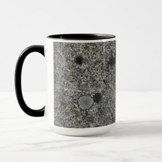 Granite Rock Grey met green Moss Mok (Links)