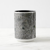 Granite Rock Grey met green Moss Mok (Midden)