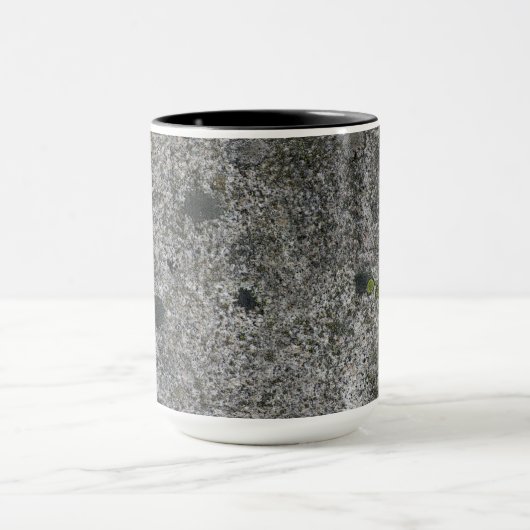 Granite Rock Grey met green Moss Mok (Midden)