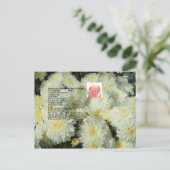 Granny's Chocolate Chip Cookies Recipe Briefkaart (Staand voorkant)