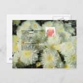 Granny's Chocolate Chip Cookies Recipe Briefkaart (Voorkant / Achterkant)