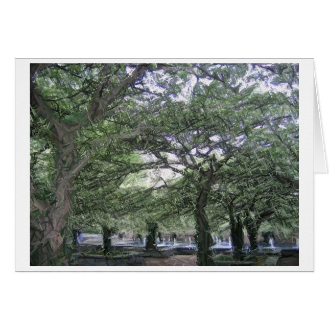 Grant Park Chicago (Voorkant Horizontaal)