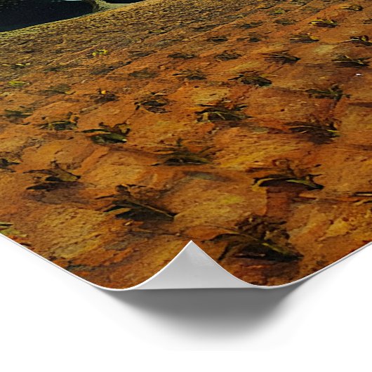 Grant Wood - Young Corn Poster (Hoek)