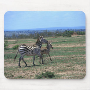 Grant Zebra Muismat