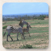 Grant Zebra Onderzetter (Voorkant)