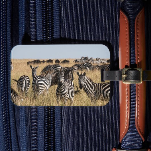 Grant's Zebra Bagagelabel (Voorkant Insitu 4)