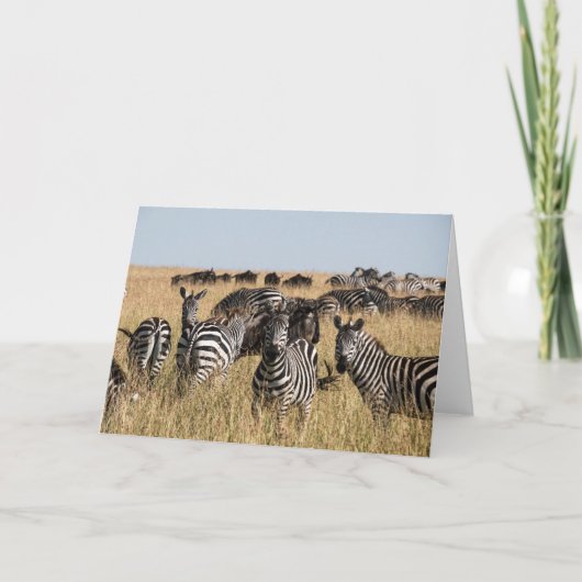 Grant's Zebra Bedankkaart (Voorkant)