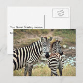 Grant's Zebra Briefkaart (Voorkant / Achterkant)