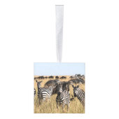 Grant's Zebra Cube Ornament (Rechts)
