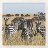 Grant's Zebra Glazen Onderzetter (Voorkant)