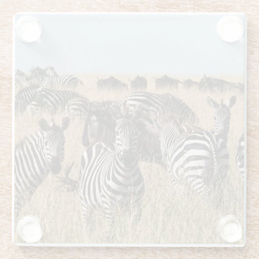 Grant's Zebra Glazen Onderzetter (Achterkant)