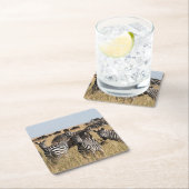 Grant's Zebra Kartonnen Onderzetters (Insitu)