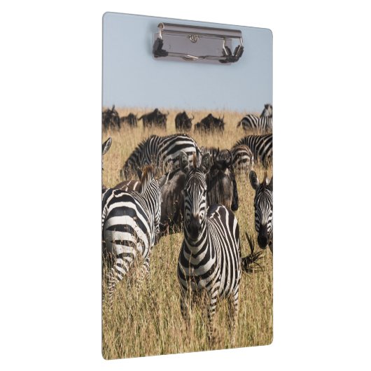 Grant's Zebra Klembord (Rechts)