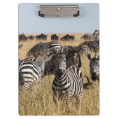 Grant's Zebra Klembord (Voorkant)