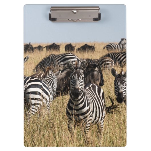 Grant's Zebra Klembord (Voorkant)